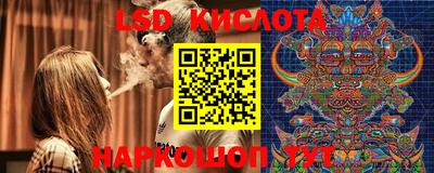 спиды Дубна