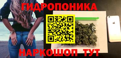 спиды Дубна