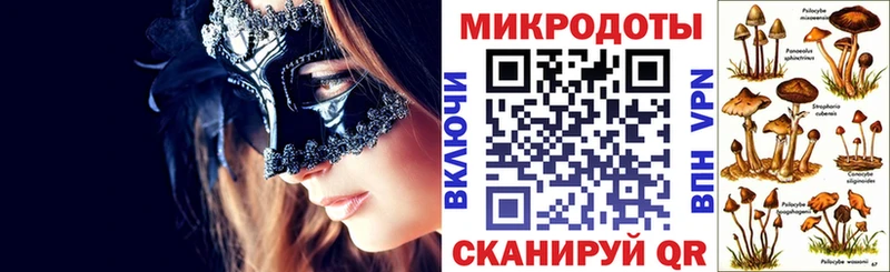 Псилоцибиновые грибы Magic Shrooms  blacksprut ONION  Камышлов 