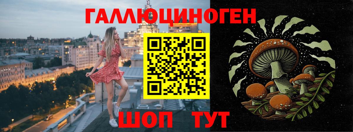Псилоцибиновые грибы мицелий Камышлов