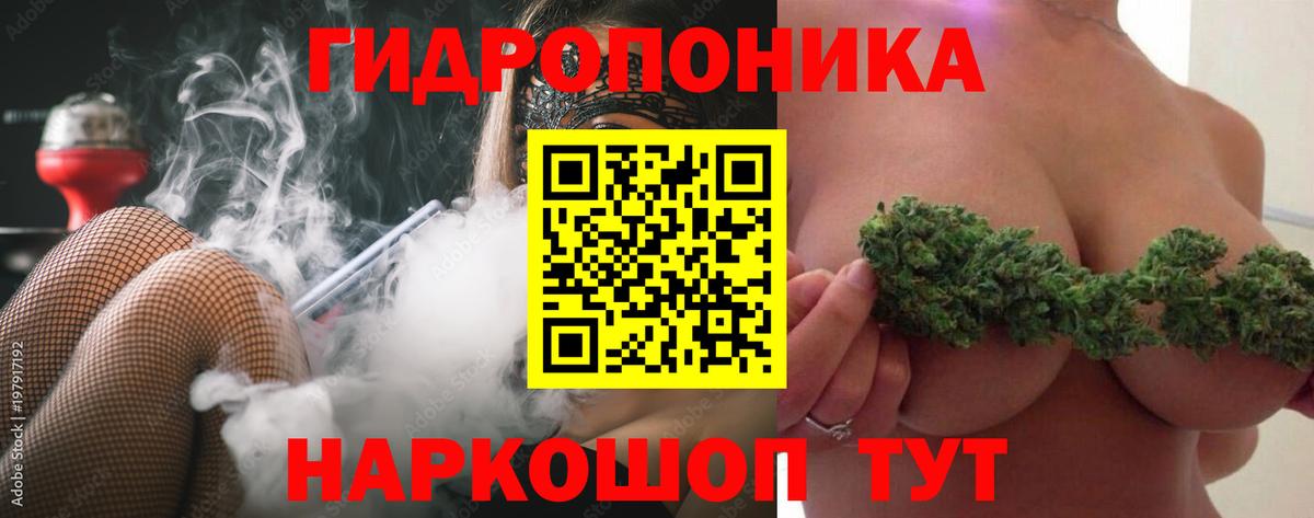 Шишки марихуана SATIVA & INDICA  Камышлов  МАРИХУАНА план  Шишки марихуана конопля 